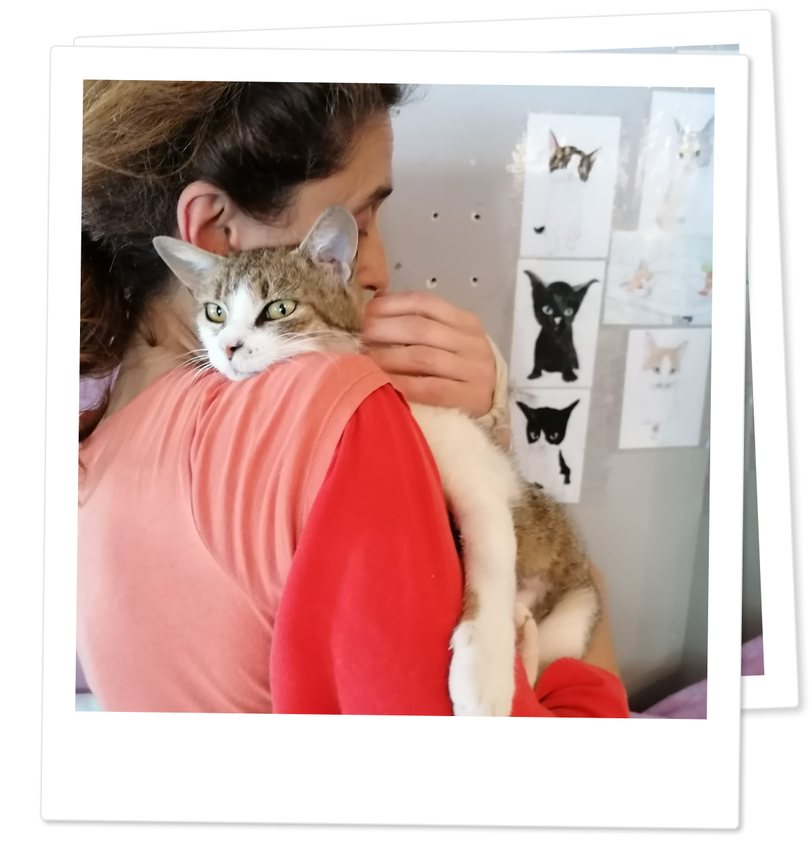 Udruženje Ceslaja tim